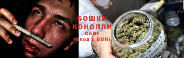 метадон Богданович