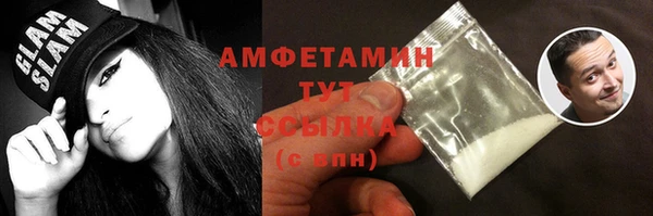метадон Богданович