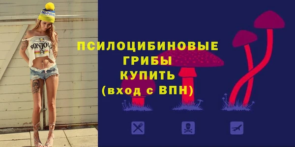скорость mdpv Богородицк